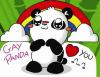 GayPanda