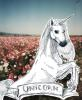 UNICORNihihih