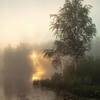 foggy_swamp