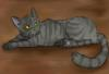 Graystripe