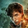 Newton Artemis Fido Scamander