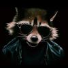 Raccon_Cool