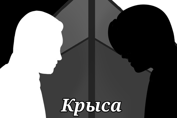 Крыса