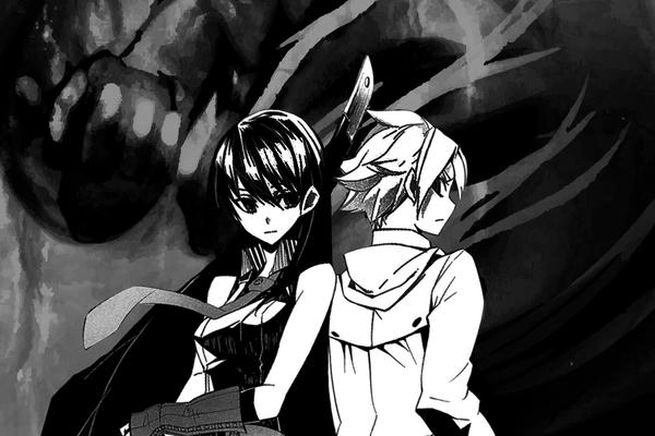 Akame Ga Kill: Fe