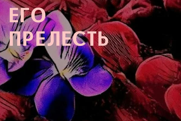 Его Прелесть