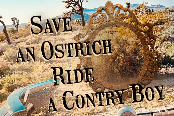 Save an Ostrich Ride a Country Boy