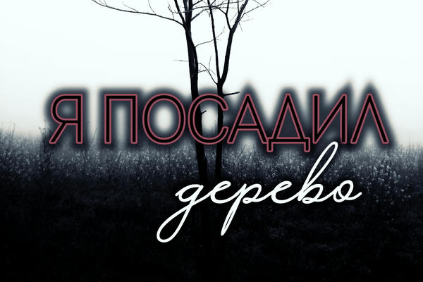 «Золотая молодежь»: секс на балконе убил россиянку в Лондоне » Сетевое издание «drujba-kor.ru»