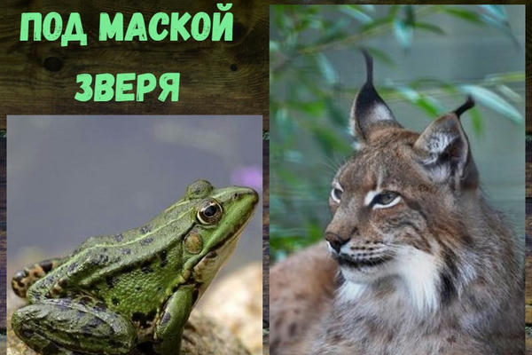 Под маской зверя