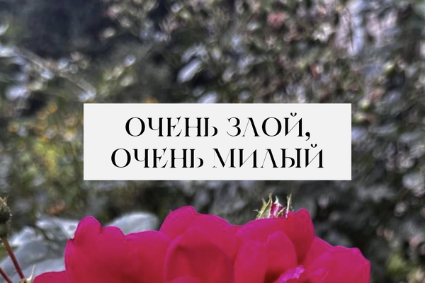 Очень злой, очень милый