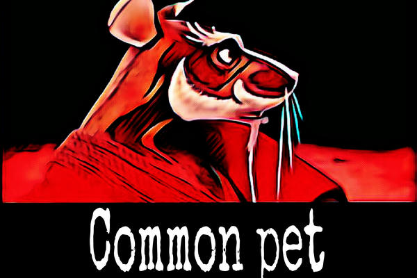 Common pet