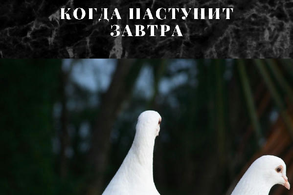 Когда наступит завтра