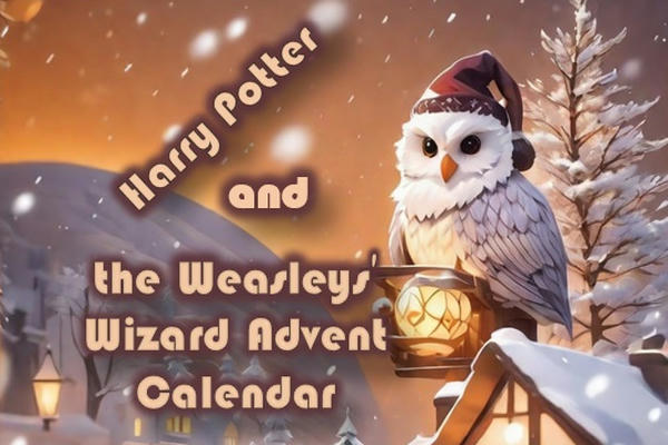 Harry Potter and the Weasleys' Wizard Advent calendar