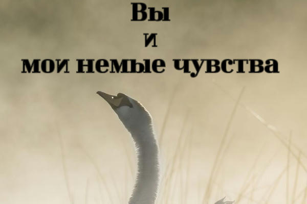 Вы и мои немые чувства