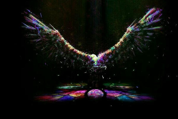 Rainbow Wings