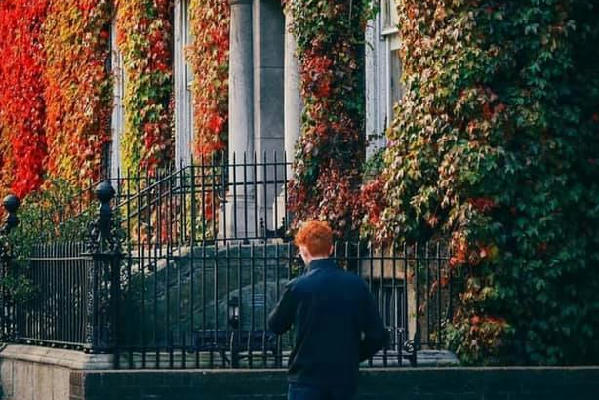 Down St. Stephen's Green