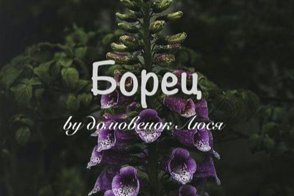 Борец